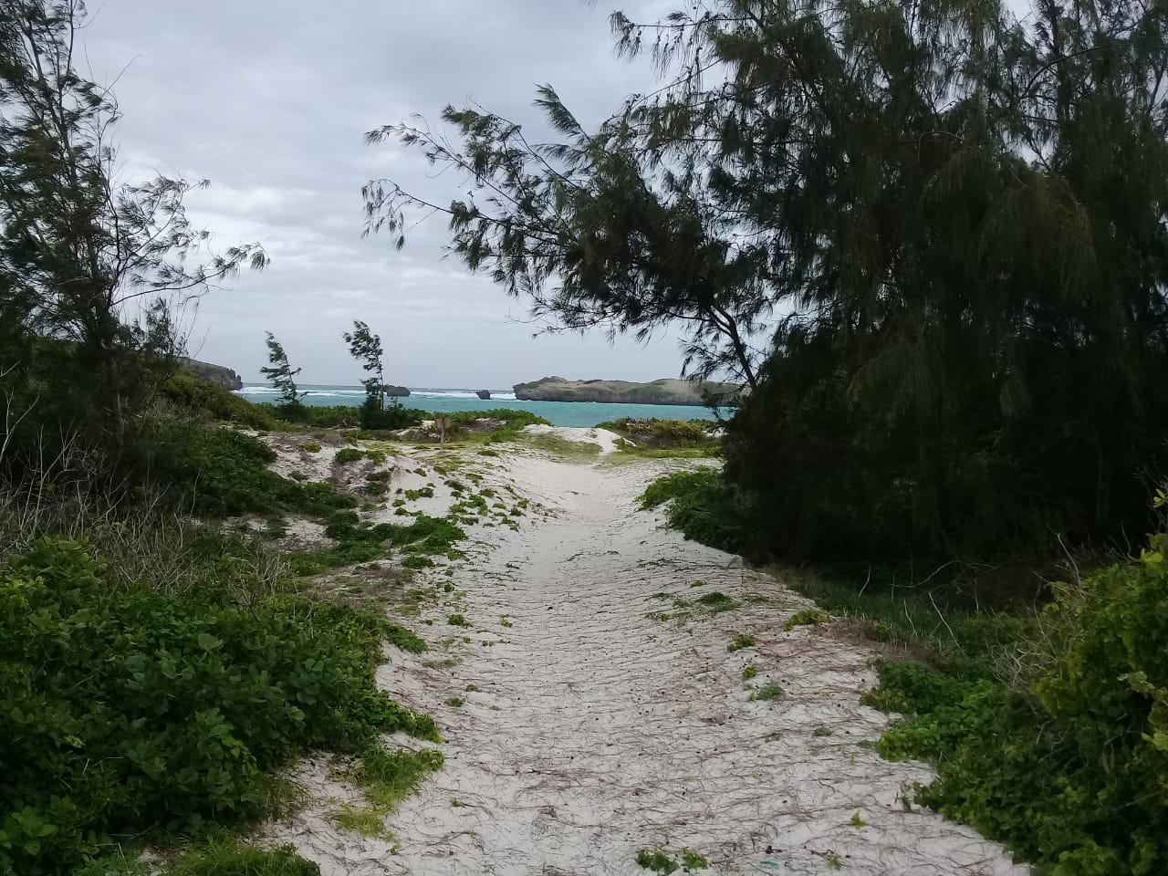 13 acre Beach Land for sale Watamu With 4bed Hse and 16rooms